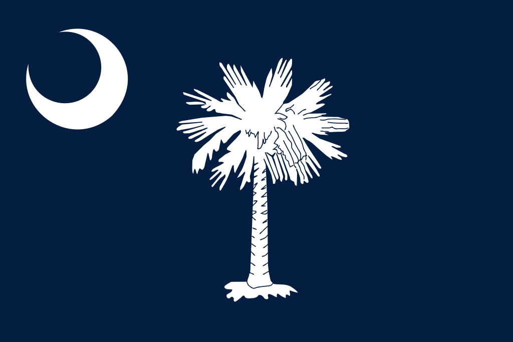 The state flag of South Carolina